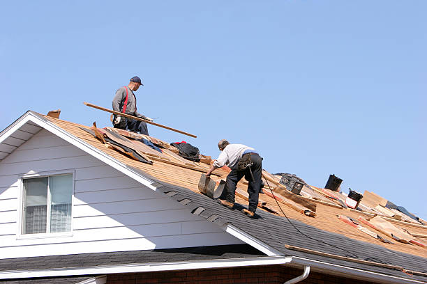 Best Roof Maintenance and Cleaning  in Grand Prairie, TX